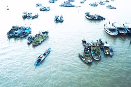 Tròng trành chợ nổi - Bài 1: Nhọc nhằn kiếp thương hồ