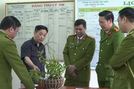 Phú Thọ: Bắt 3 đối tượng "hô biến" lan thường thành lan đột biến, chiếm đoạt hơn 1 tỷ đồng