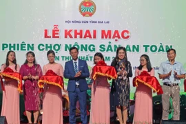 Gia Lai: Khai mạc Phiên chợ nông sản an toàn lần thứ I-2020