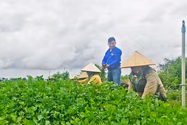 Trẻ trung và kiên trì "Lương Định Của" thế hệ 4.0