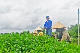 Trẻ trung và kiên trì "Lương Định Của" thế hệ 4.0