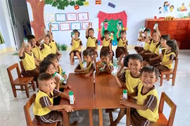 "Sữa học đường": Hiệu quả bước đầu