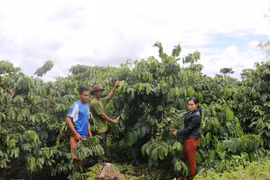 Quan tâm xây dựng khối đại đoàn kết toàn dân tộc