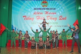 Liên hoan Tiếng hát đồng quê lần thứ V: Sôi nổi, ấn tượng