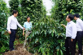 Kon Tum: Huyện Sa Thầy chờ đổi thay nhờ dự án "khủng" hơn 2.544 tỷ