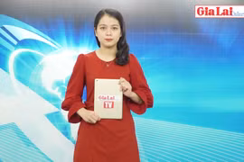 Gia Lai 48h: Xã hội hóa bến xe khách-chủ trương đúng nhưng khó thực hiện