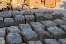 Hải Phòng: Phát hiện container chứa gần 670kg ma túy trong vách hậu