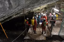 Tổ tiên loài người cũng ngủ đông như một số loài vật?