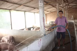 Bình Định: 7 người được tôn vinh và trao danh hiệu "Nông dân Việt Nam xuất sắc" đều là nông dân tỷ phú