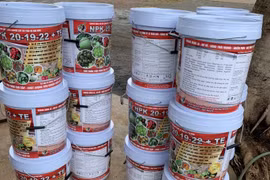 Phát hiện cơ sở bán phân bón giả trên nền tảng thương mại điện tử