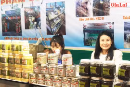 Mở ra cơ hội thúc đẩy hợp tác thương mại