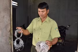 Lời thề còn ở trên ngàn