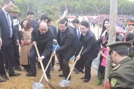 Thủ tướng chỉ thị: Cả nước chung sức, đồng lòng trồng mới 1 tỉ cây xanh