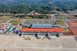 Dư địa tăng trưởng cho kinh tế tư nhân năm 2020 còn rất lớn