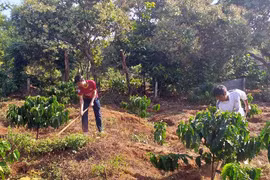 Nắng ấm làng Tang