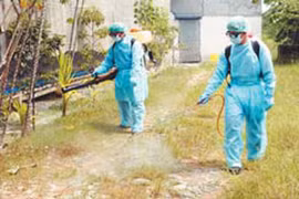 Việt Nam đang có 16 ổ dịch cúm H5N6 và H5N1