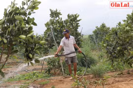 Kbang chủ động phòng chống hạn cho cây trồng