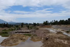 Đà Nẵng: Chỉ định thầu cho con trai, nguyên tổng giám đốc bị bắt giam