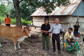 Hội Bảo trợ người khuyết tật và Bảo vệ quyền trẻ em tỉnh Gia Lai: Nhịp cầu nhân ái