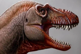 Phát hiện 'tử thần mới', họ hàng cao tuổi của khủng long bạo chúa T-Rex