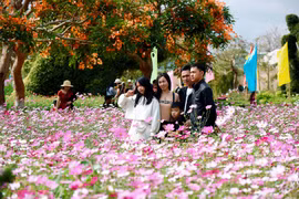 Nhạc điệu vườn xuân