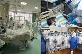 Tận lực cho đời