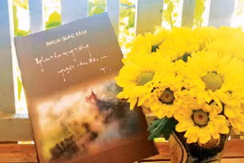 "Mắt thương nhìn đời"