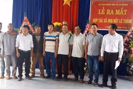 Ra mắt Hợp tác xã ong mật Lê Thành