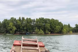 Vợ chồng Robinson