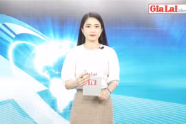 Gia Lai 48h: Gặp mặt trí thức, văn nghệ sĩ, phóng viên báo chí trên địa bàn tỉnh