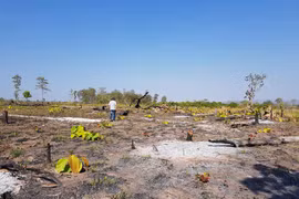 Chư Prông: Nhiều xã để mất rừng