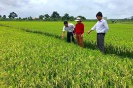 Mặt trận và các đoàn thể huyện Ia Pa đổi mới phương thức hoạt động
