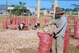 Đak Ta Ley: Khi nghị quyết của Đảng hòa vào cuộc sống