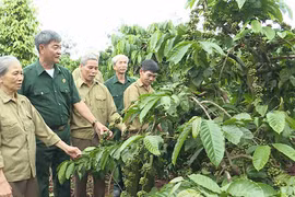 Chư Prông: Cựu chiến binh tích cực tham gia xây dựng hệ thống chính trị