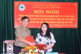 Nỗ lực hoàn thành nguồn thu dịch vụ môi trường rừng trên địa bàn Gia Lai