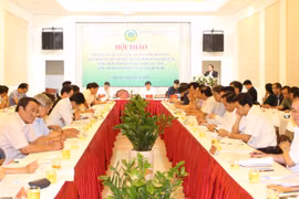 Định hướng xây dựng Bộ tiêu chí Nông thôn mới giai đoạn 2021-2025