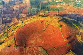 Ngất ngây với vẻ đẹp hoang sơ nơi phố núi Gia Lai