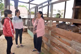 "Đòn bẩy" giúp phụ nữ Ia Pa thoát nghèo