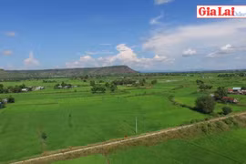 Tín hiệu vui từ Chương trình OCOP ở huyện Phú Thiện