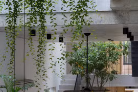 Ngôi nhà ống mang hơi thở truyền thống vào không gian hiện đại