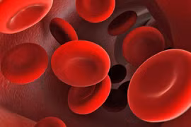 Điều nguy hại gì xảy ra khi bạn nạp quá nhiều chất sắt?