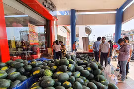 "Cái khó ló cái khôn"