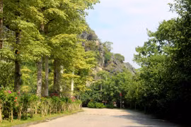 Khát vọng Thủy Nguyên