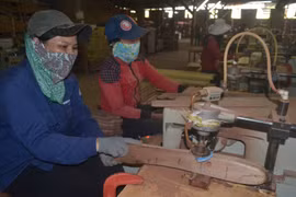 Gia Lai có 318 cơ sở chế biến, kinh doanh lâm sản