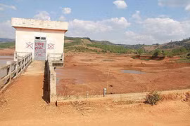 Bị khởi tố, giám đốc khai làm theo yêu cầu của... anh trai