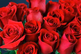 Khoa học phát hiện lợi ích bất ngờ của hoa hồng