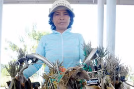 Phải dẹp nạn buôn bán động vật hoang dã