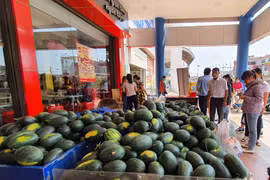 Siêu thị Co.op Mart Pleiku: Phát miễn phí 10 tấn dưa hấu cho khách hàng