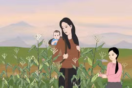 Mùa bắp nhớ thương