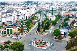 Đà Lạt còn đâu rừng trong phố!